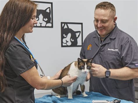 5 points animal hospital. 5 Points Animal Hospital provides comprehensive veterinary care for your pets in Nashville, TN. Call us today to schedule your pet's appointment. (615) 750-2377 