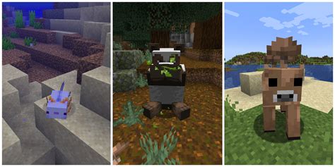 5 rarest mobs in Minecraft