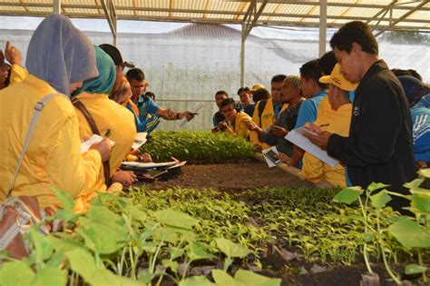 5 Rekomendasi Tempat Magang Untukmu Mahasiswa Jurusan Pertanian Baju Jurusan Pertanian - Baju Jurusan Pertanian