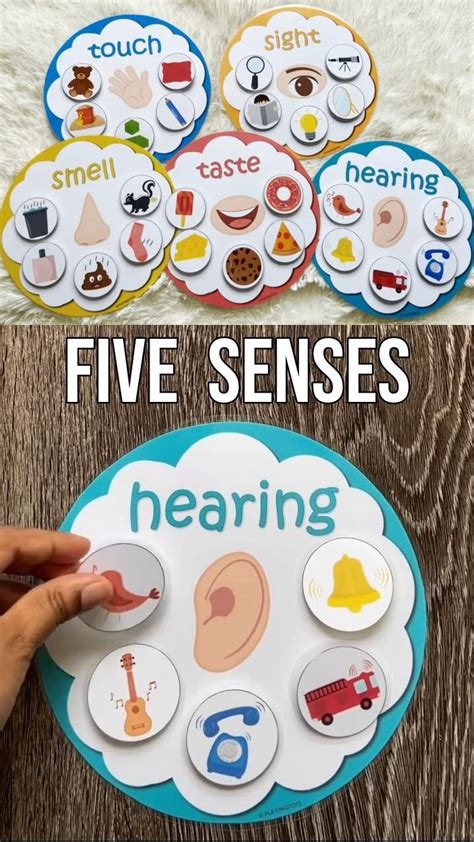 5 Senses Activities Active Littles Preschool 5 Senses Worksheets - Preschool 5 Senses Worksheets