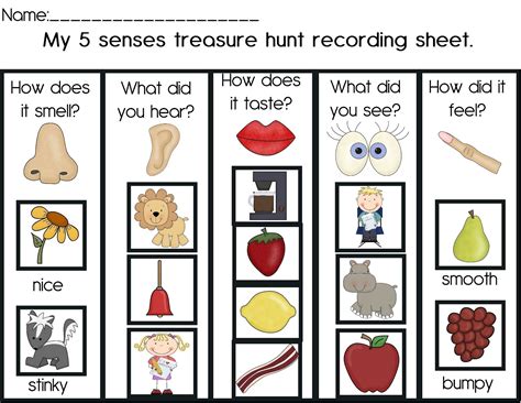 5 Senses Activities Active Littles Printable Pictures Of The Five Senses - Printable Pictures Of The Five Senses
