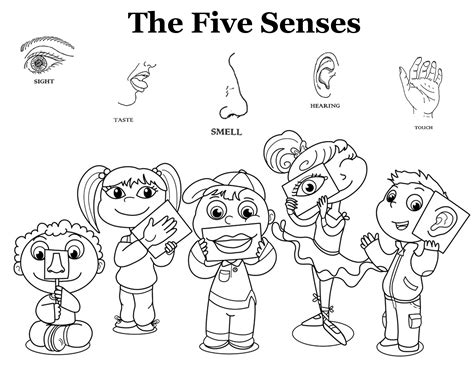 5 Senses Coloring Sheet   Five Senses Printable Coloring Pages From Abcs To - 5 Senses Coloring Sheet