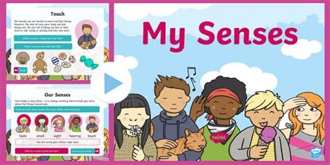 5 Senses For Kindergarten Eyfs Powerpoint All About 5 Senses Activity For Kindergarten - 5 Senses Activity For Kindergarten
