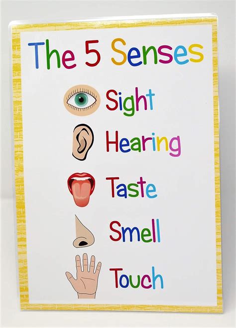 5 Senses Pictures For Kids Display Posters Twinkl Pictures Of Five Senses For Preschoolers - Pictures Of Five Senses For Preschoolers