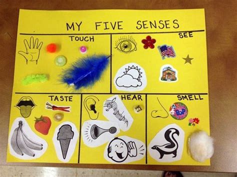 5 Senses Science   Five Senses Science Activity For Kids Kc Edventures - 5 Senses Science