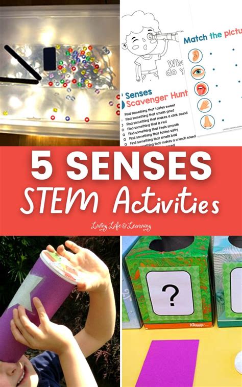 5 Senses Stem Activities Living Life And Learning 5 Senses Science Experiment - 5 Senses Science Experiment