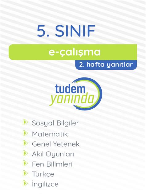 5 Sınıf şiir ödevi