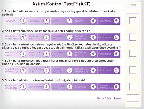 5 Soruluk ıq Testi
