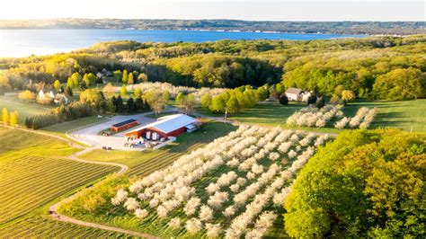 5 Star Cherry Farm