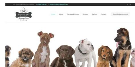 5 star customer rated Dog Groomer - websites.itsallsavvy.com