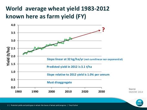 5 steps for estimating wheat yields - Farm Progress