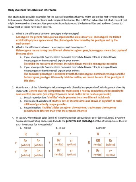 5 Studyguide Key