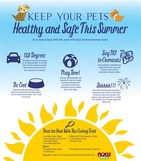 5 summertime tips for a pet-safe season
