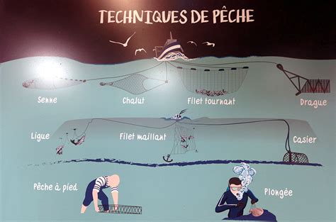 5 Techniques De Peche En Bord De Mer Lignes Et Montages