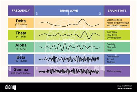 5 Types Of Brain Waves Frequencies
