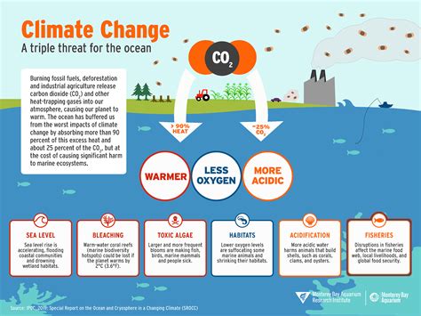 5 ways climate change is affecting our oceans