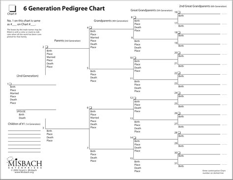 Full Download 5 Generation Dog Pedigree Chart Template 
