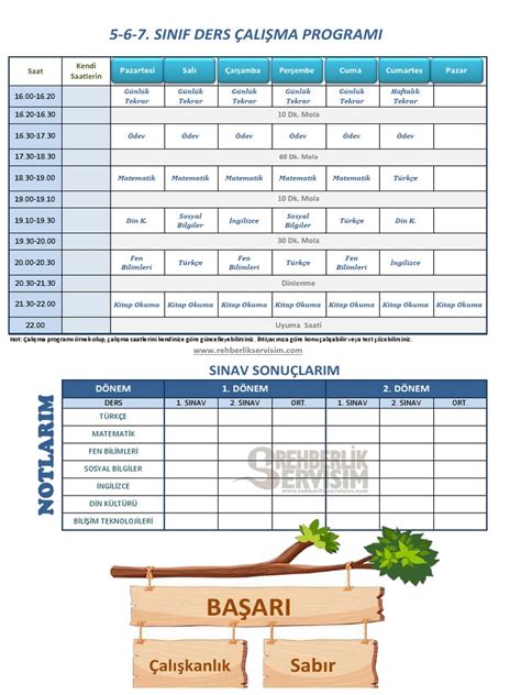 codini.rgarabwor.edu.pl. 