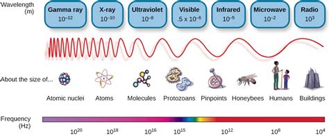 5.3: Waves and Wavelengths - Social Sci LibreTexts