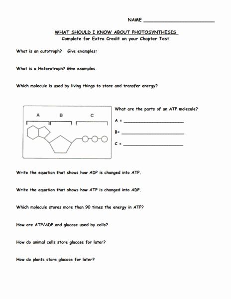 50 Atp Worksheet Answer Key