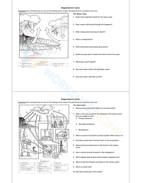 50 Biogeochemical Cycles Worksheet Answers
