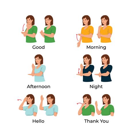 50 Common Sign Language Words How to Say Hello and Thank You in Sign