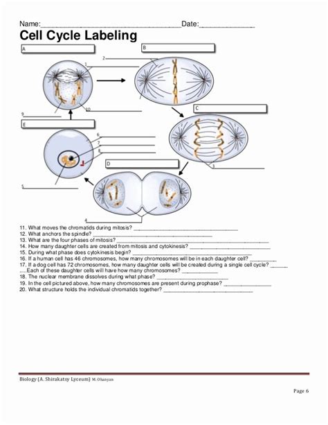50 Cycles Worksheet Answer Key
