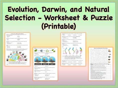 50 Evolution And Natural Selection Worksheet