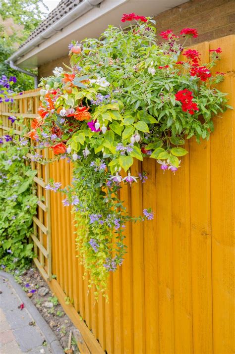 50 Functional Privacy Fence Ideas That Look Great in Your …