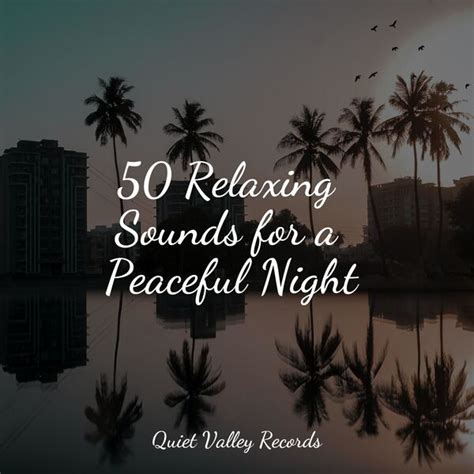 50 Peaceful Sounds for Meditation & Relaxation - music.amazon.ca