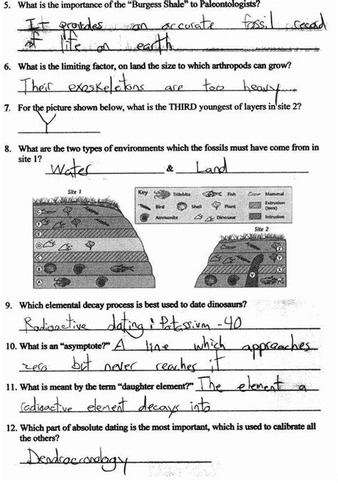 50 Relative Dating Worksheet Answer Key