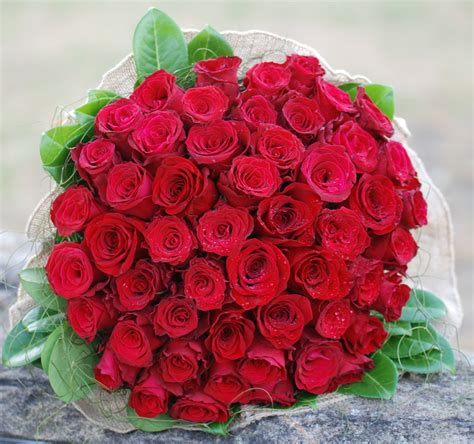 50 Roses Bouquet Price