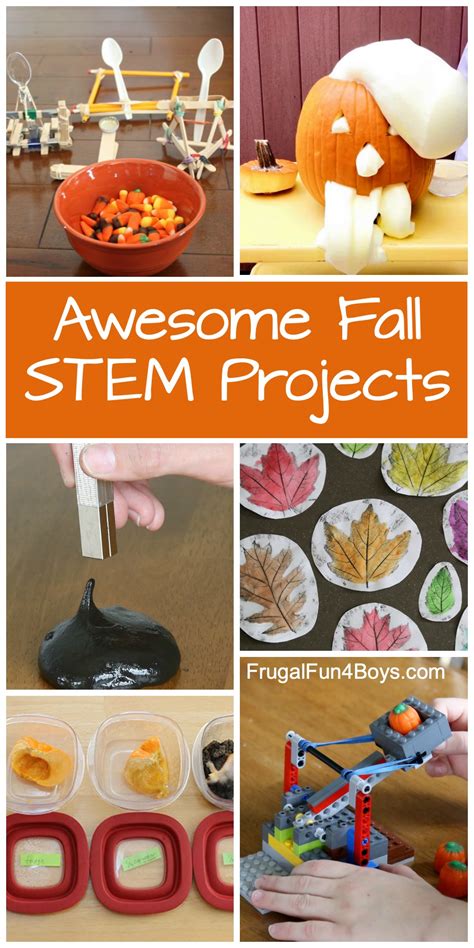 50 Amazing Fall Stem Activities Little Bins For Fall Science Activities For Preschoolers - Fall Science Activities For Preschoolers