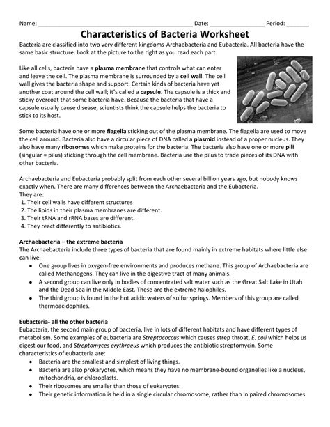 50 Characteristics Of Bacteria Worksheet Characteristics Of Bacteria Worksheet Answers - Characteristics Of Bacteria Worksheet Answers