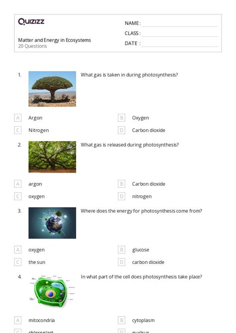 50 Ecosystems Worksheets On Quizizz Free Amp Printable Parts Of An Ecosystem Worksheet - Parts Of An Ecosystem Worksheet