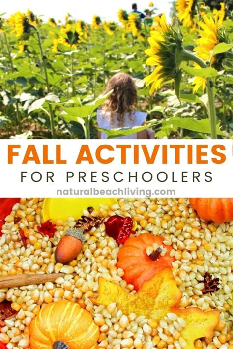 50 Fall Activities For Preschoolers Natural Beach Living Fall Science Activities For Preschool - Fall Science Activities For Preschool