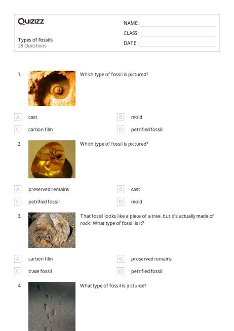 50 Fossils Worksheets On Quizizz Free Amp Printable 6th Grade Fossil Worksheet - 6th Grade Fossil Worksheet