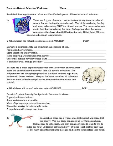 50 Natural Selection And Adaptations Worksheets For 7th 7th Grade Worksheet For Evelotion - 7th Grade Worksheet For Evelotion