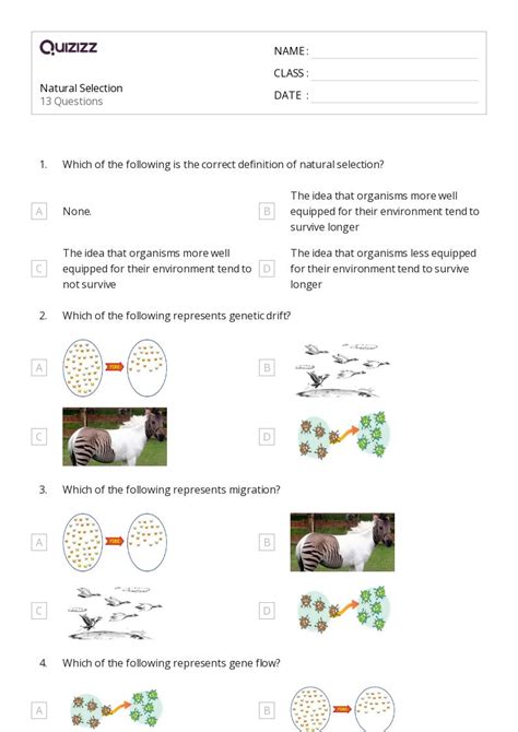 50 Natural Selection Worksheets On Quizizz Free Amp Types Of Natural Selection Worksheet Answers - Types Of Natural Selection Worksheet Answers