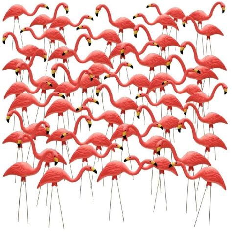 50 pack of pink flamingos. JOYIN Set of 6 Small Pink Flamingo Yard Ornament Stakes Mini Lawn Plastic Flamingo Statue with Metal Legs for Sidewalks, Outdoor Garden Decoration, Luau Party, Beach, Tropical Party Decor, 2 Styles Union 62360 Original Featherstone, Pink Flamingo Yard Lawn Ornaments, 38" -Set of 2 