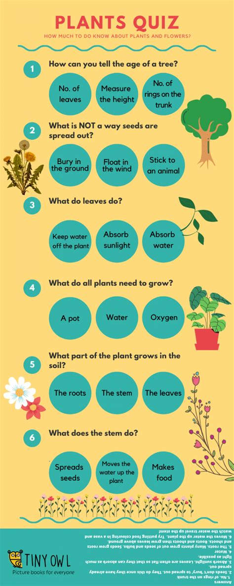 50 Plant Trivia Questions And Answers Antimaximalist Plant Questions And Answers - Plant Questions And Answers