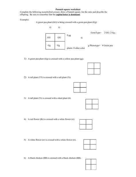 50 Punnett Squares Worksheets On Quizizz Free Amp Punnett Square Practice Worksheet 7th Grade - Punnett Square Practice Worksheet 7th Grade