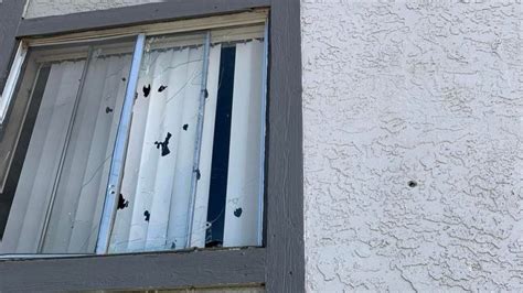 50 rounds fired into Wheat Ridge apartment unit