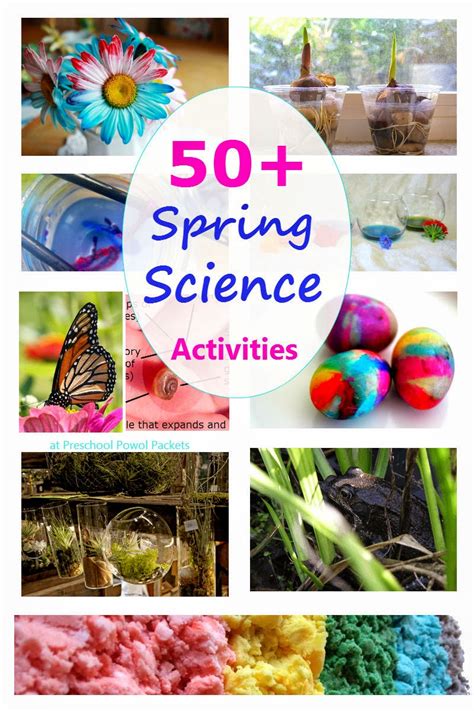 50 Spring Science Activities For Kids Little Bins Preschool Science Theme - Preschool Science Theme