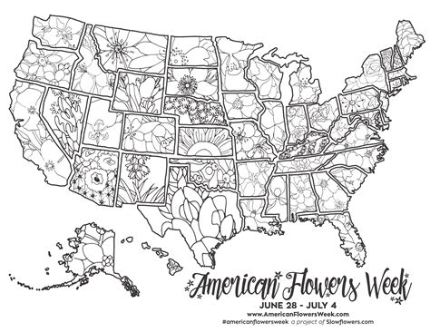 50 State Flowers 8212 Free Coloring Pages Ndash New York State Flower Coloring Page - New York State Flower Coloring Page