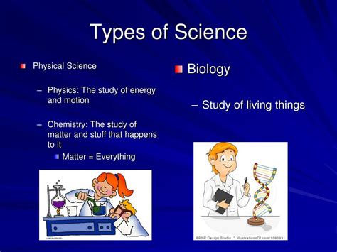 50 Types Of Science Simplicable All Science - All Science