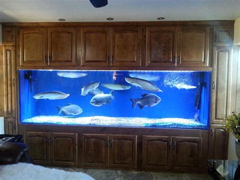 500 gallon aquarium. Aqua Dream 500 Gallon Tempered Glass All-in-one Aquarium Black. $19,999.99. Arrives Apr 25. Specifications. Brand. AquaDream. Animal Type. Fish. Assembled Product … 