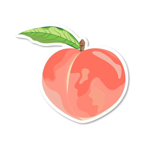 500 pcs Peach Stickers DIY Peach Stickers Cartoon Peach Sticker …