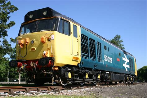 50029 Halı ve Koltuk Yıkama