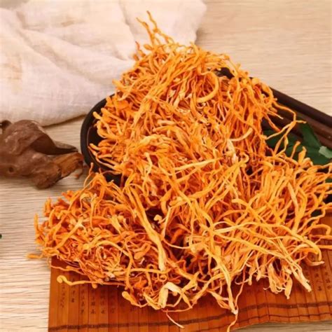 500g Organic Cordyceps Sinensis Dried Mushroom …